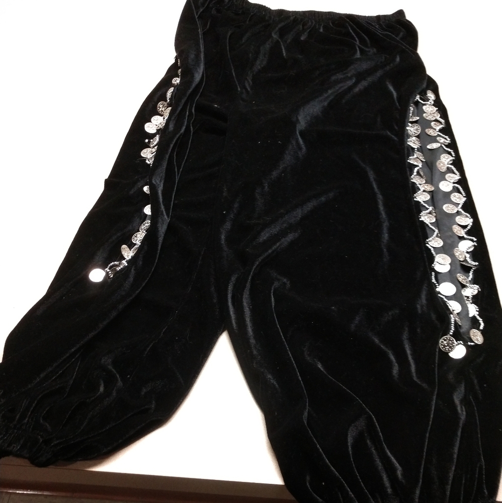 Velvet Harem Pants